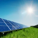 Pine home sample service 3 image