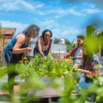 Pine home sample service 4 image